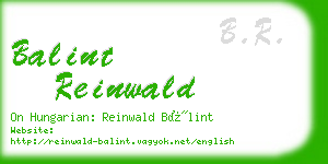 balint reinwald business card